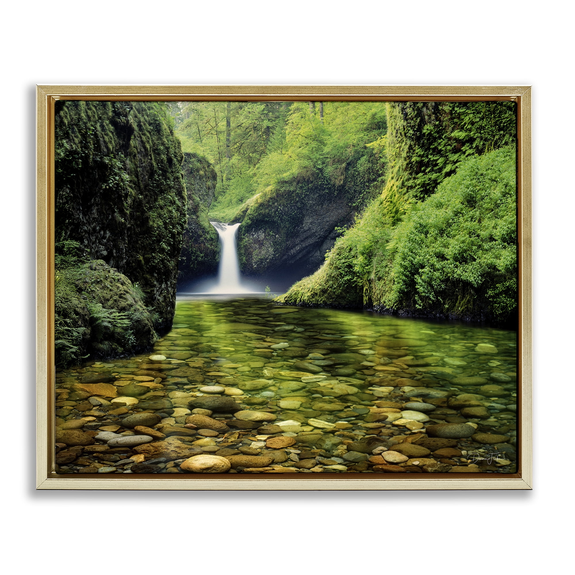 Stupell Industries Punchbowl Falls in Emerald Forest Gold Framed Floater Canvas Wall Art, design by Dennis Frates
