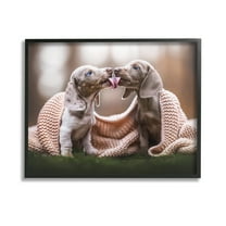 Stupell Industries Puppies with Blanket Animals & Insects Painting Black Framed Art Print Wall Art, 14 x 11
