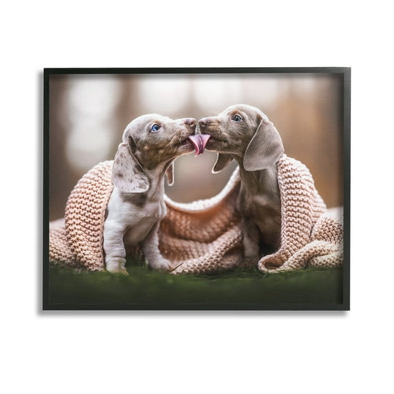 Stupell Industries Puppies with Blanket Animals & Insects Painting Black Framed Art Print Wall Art, 14 x 11