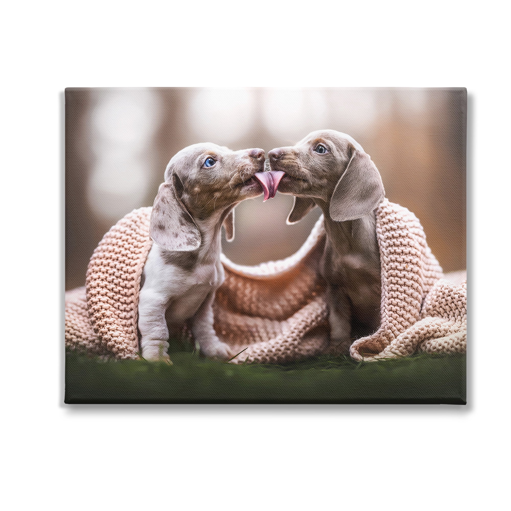 Stupell Industries Puppies with Blanket Animals & Insects Painting Gallery Wrapped Canvas Art Print Wall Art, 20 x 16