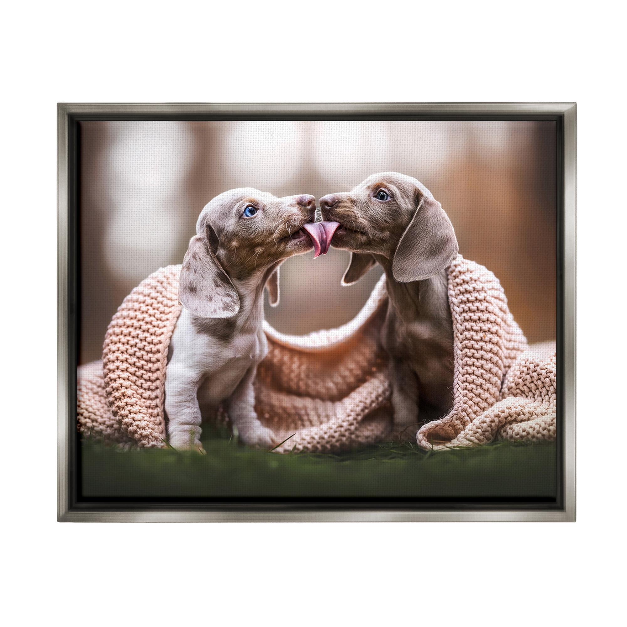 Stupell Industries Puppies with Blanket Animals & Insects Painting Gray Floater Framed Canvas Art Print Wall Art, 21 x 17