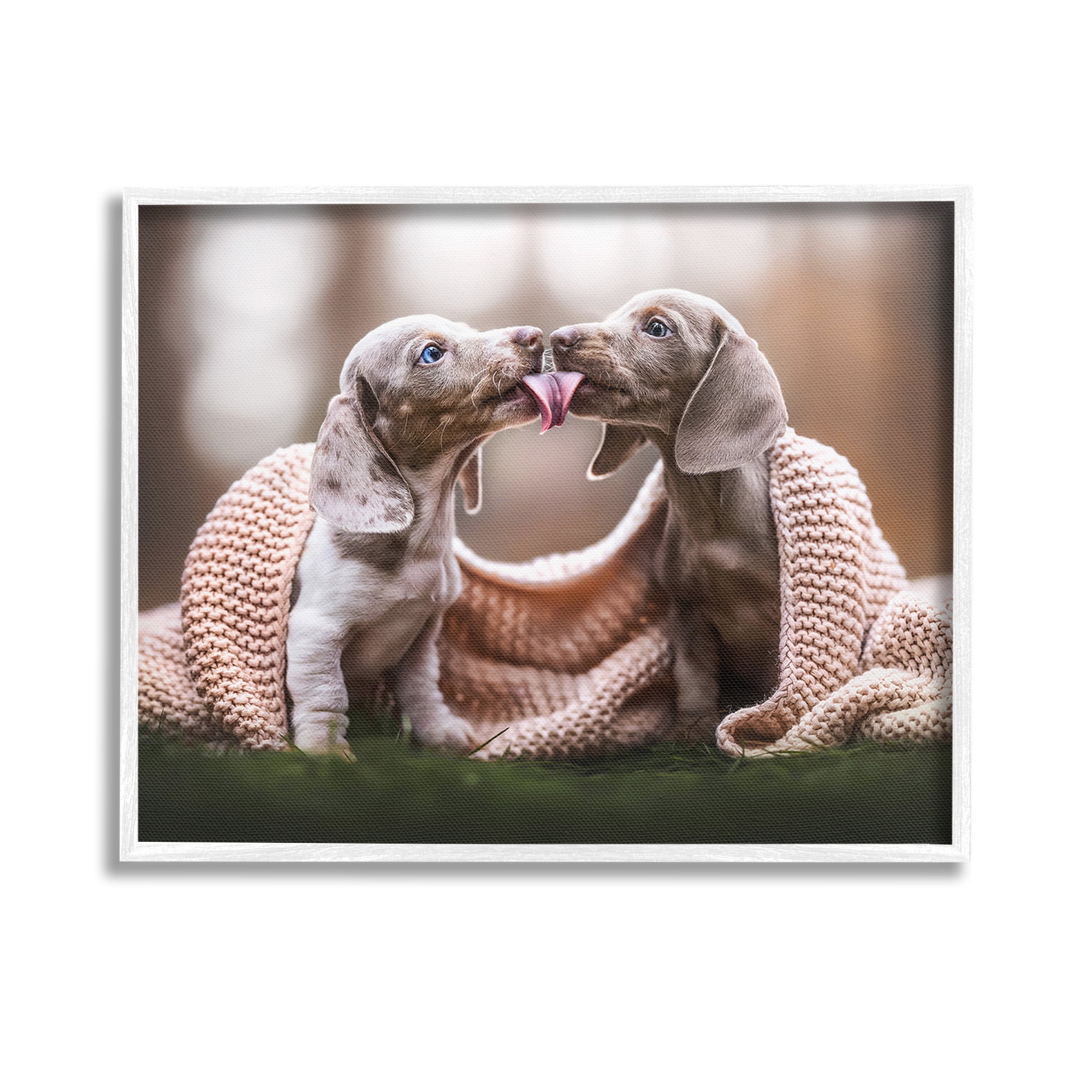 Stupell Industries Puppies with Blanket Animals & Insects Painting White Framed Art Print Wall Art, 14 x 11
