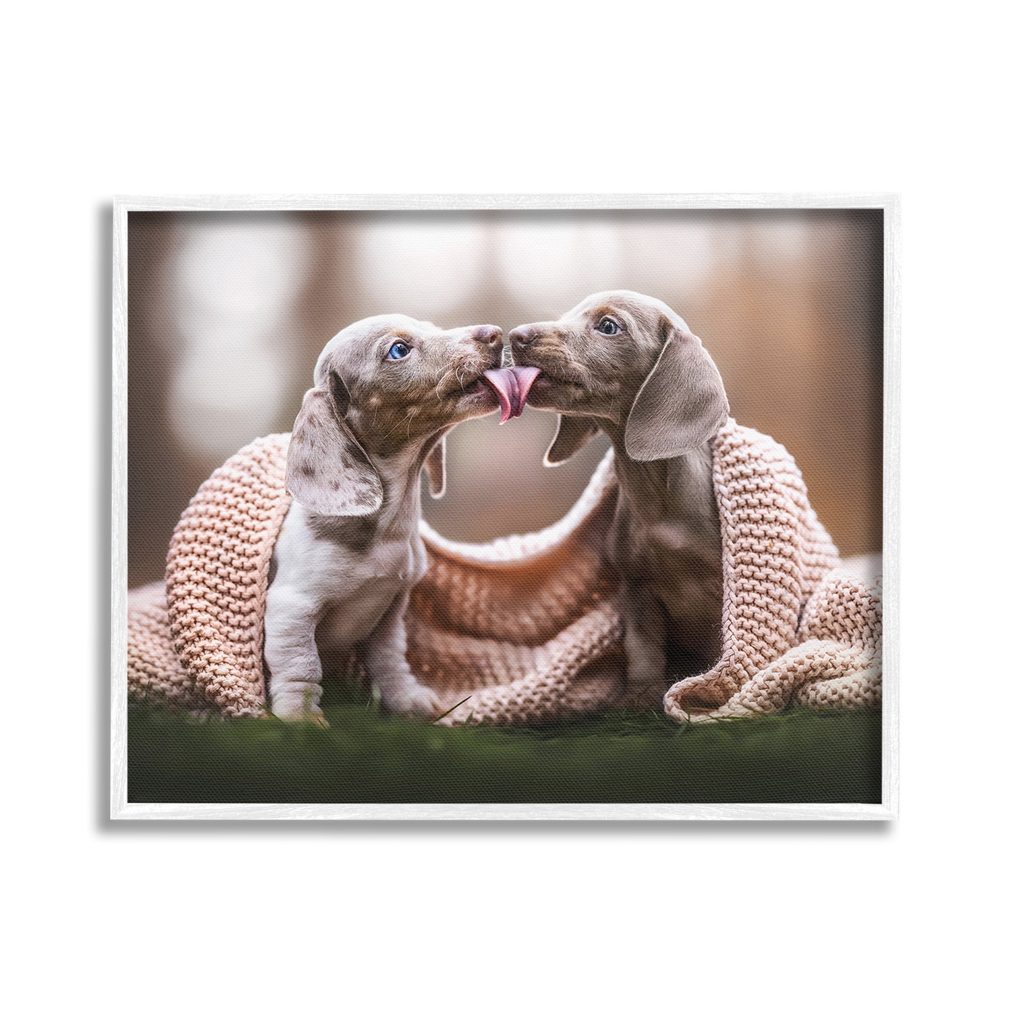 Stupell Industries Puppies with Blanket Animals & Insects Painting White Framed Art Print Wall Art, 20 x 16