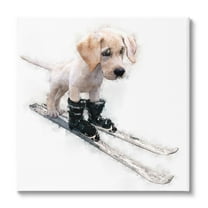 Stupell Industries Puppy Skiing Winter Pet Animals & Insects Painting Gallery Wrapped Canvas Print Wall Art