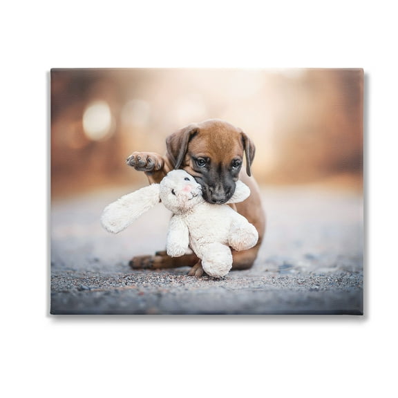 Stupell Industries Puppy with Plushie Toy Animals & Insects Painting Gallery Wrapped Canvas Art Print Wall Art, 20 x 16