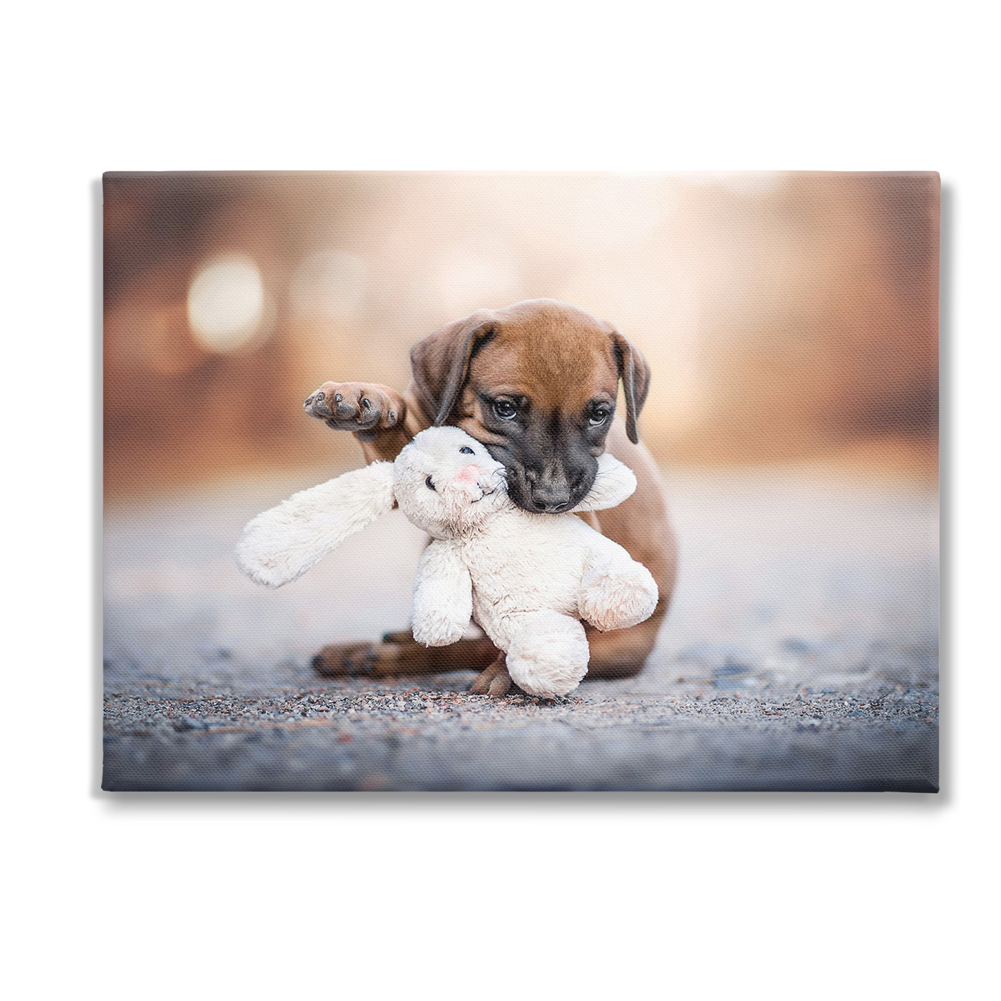 Stupell Industries Puppy with Plushie Toy Animals & Insects Painting Gallery Wrapped Canvas Art Print Wall Art, 40 x 30