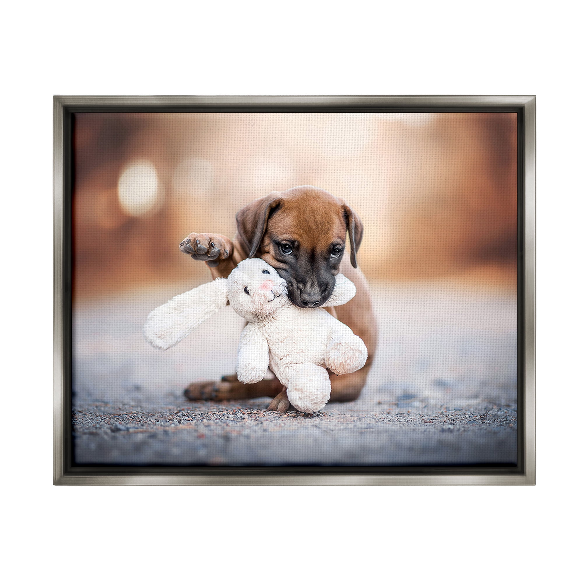 Stupell Industries Puppy with Plushie Toy Animals & Insects Painting Gray Floater Framed Canvas Art Print Wall Art, 31 x 25