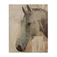 thumbnail image 1 of Stupell Industries Contemporary Pure Horsepower Portrait Canvas Art, 16 x 20, by Svetlana Aleynikova, 1 of 8