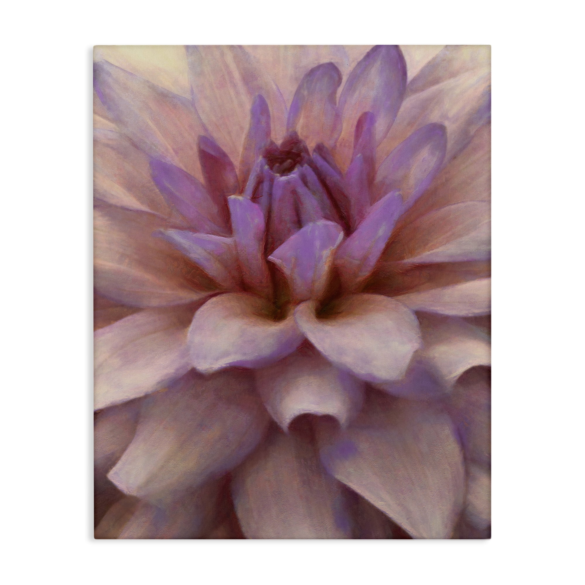 Stupell Industries Purple Dahlia Petals Botanical & Floral Painting Gallery Wrapped Canvas Art Print Wall Art, 16 x 20