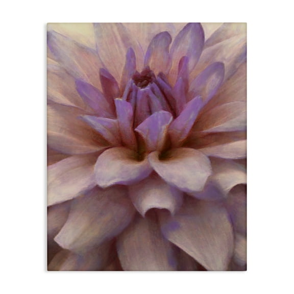 Stupell Industries Purple Dahlia Petals Botanical & Floral Painting Gallery Wrapped Canvas Art Print Wall Art, 16 x 20