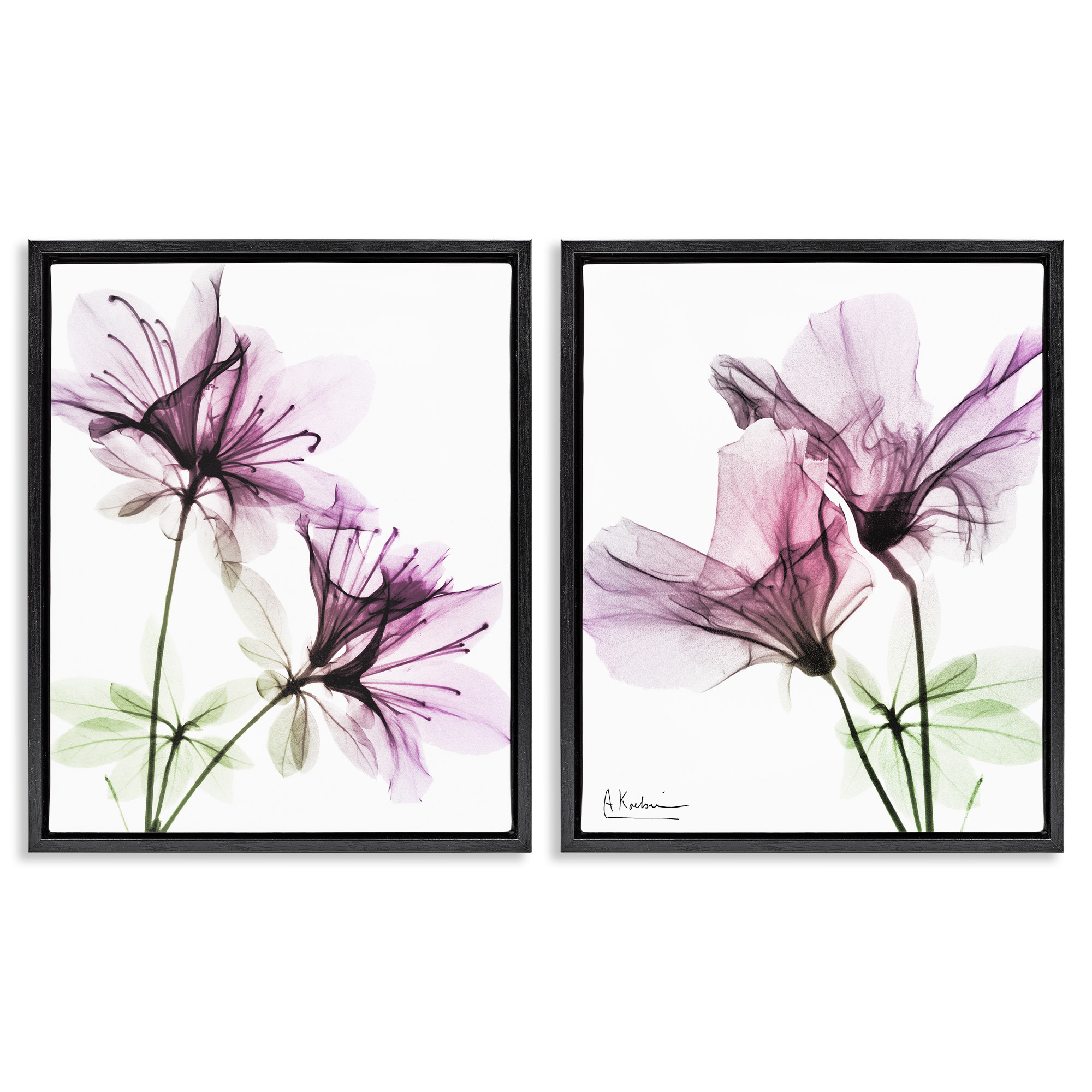 Stupell Industries Purple Flower Bloom Design Botanical & Floral