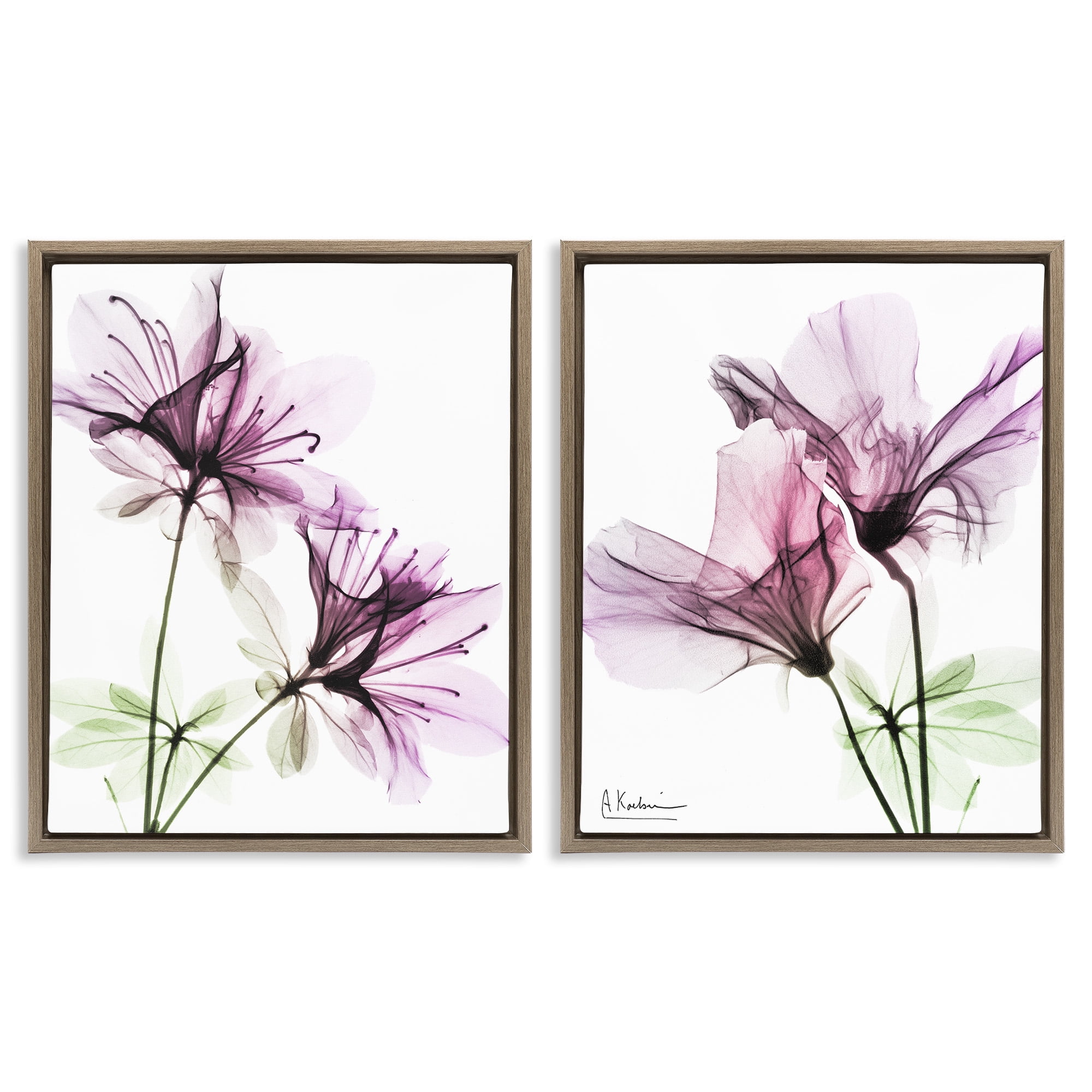Stupell Industries Purple Flower Bloom Design Botanical & Floral Photography Brown Floater Framed Canvas Art Print Wall Art, 25 x 31, Set of 2