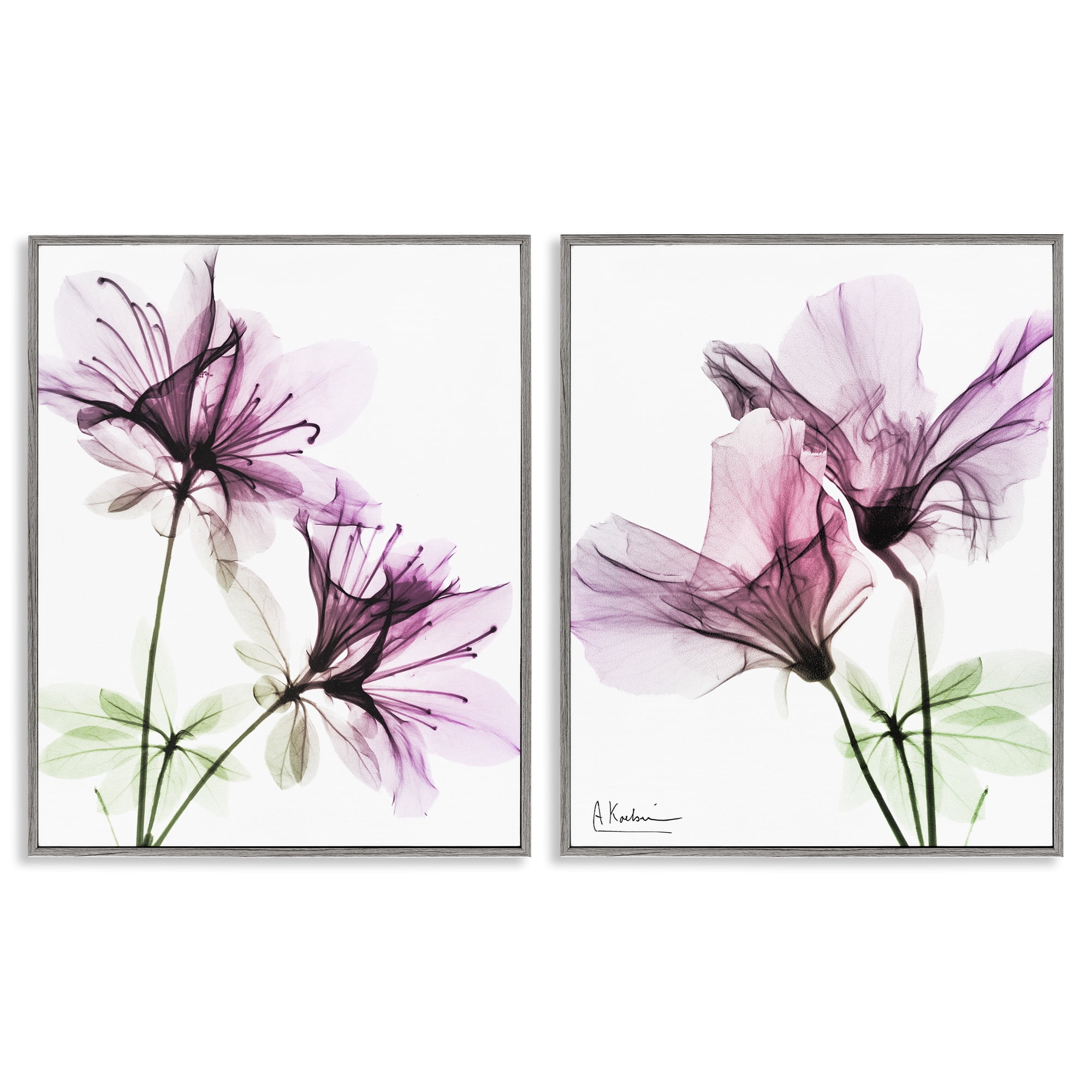 Stupell Industries Purple Flower Bloom Design Botanical & Floral Photography Gray Framed Art Print Wall Art, 24 x 30, Set of 2