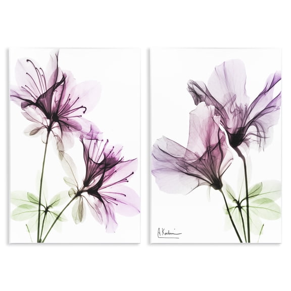 Stupell Industries Purple Flower Bloom Design Botanical & Floral Photography Unframed Art Print Wall Art, 13 x 19, Set of 2