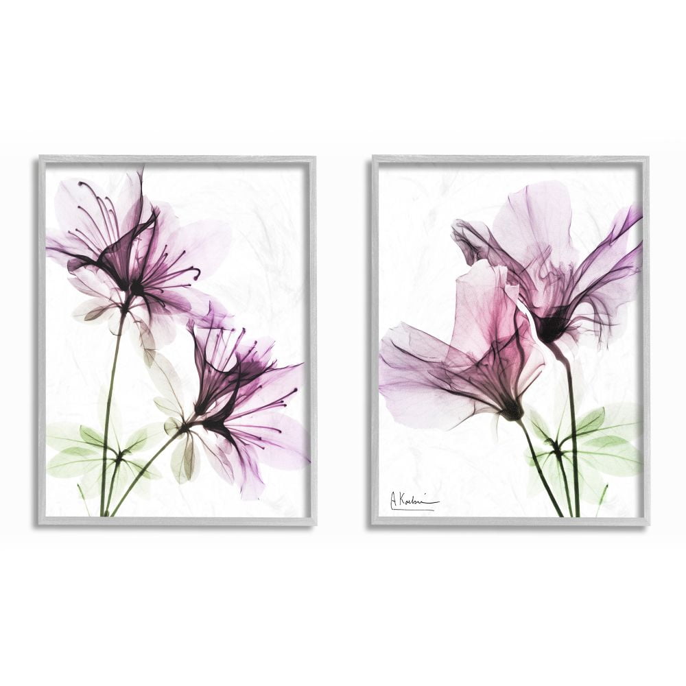 Stupell Industries Purple Flower Bloom Design Photography Gray Framed Art Print Wall Art Set of 2, 11x14, by Albert Koetsier