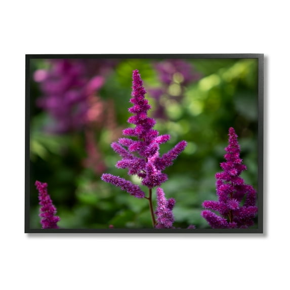 Stupell Industries Purple Flower in Nature Botanical & Floral Photography Black Framed Art Print Wall Art, 14 x 11