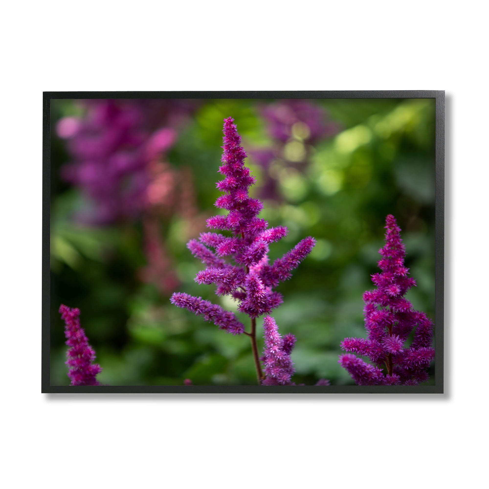 Stupell Industries Purple Flower in Nature Botanical & Floral Photography Black Framed Art Print Wall Art, 30 x 24
