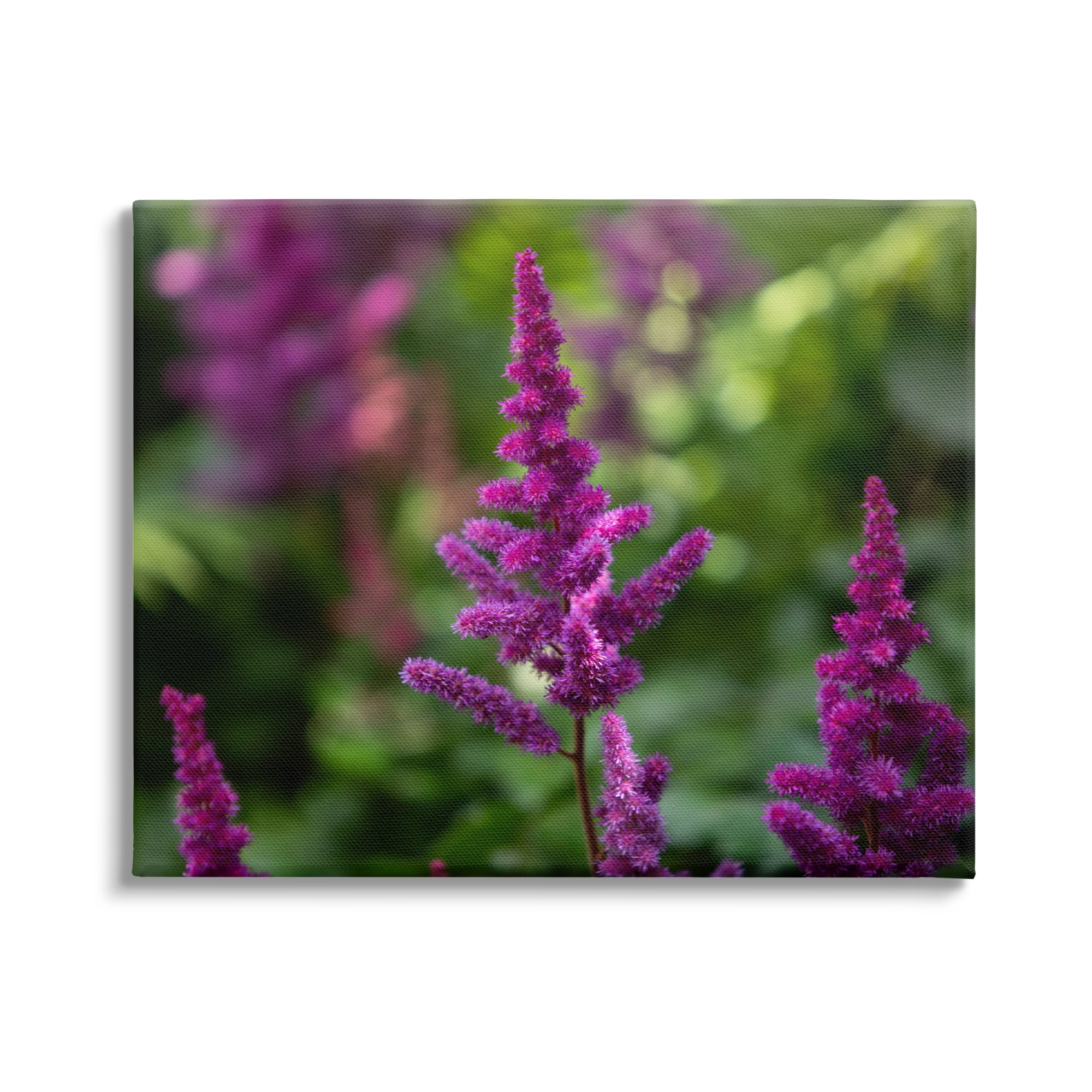 Stupell Industries Purple Flower in Nature Botanical & Floral Photography Gallery Wrapped Canvas Print Wall Art, 20 x 16