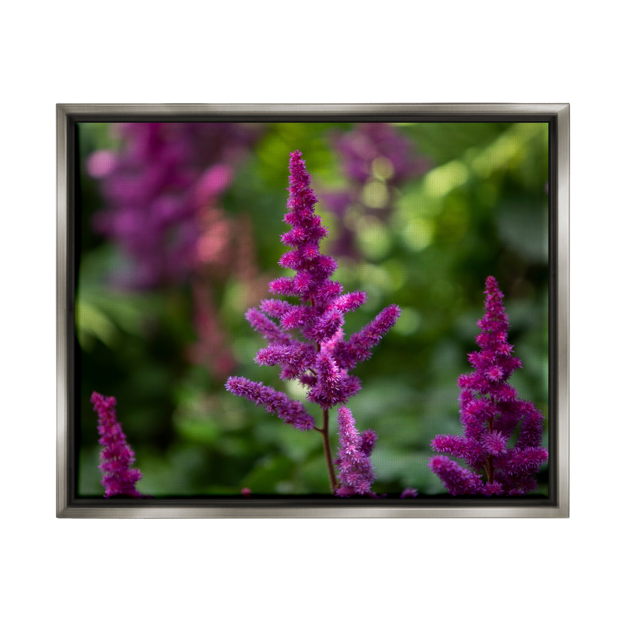 Stupell Industries Purple Flower in Nature Botanical & Floral Photography Gray Floater Framed Art Print Wall Art, 31 x 25