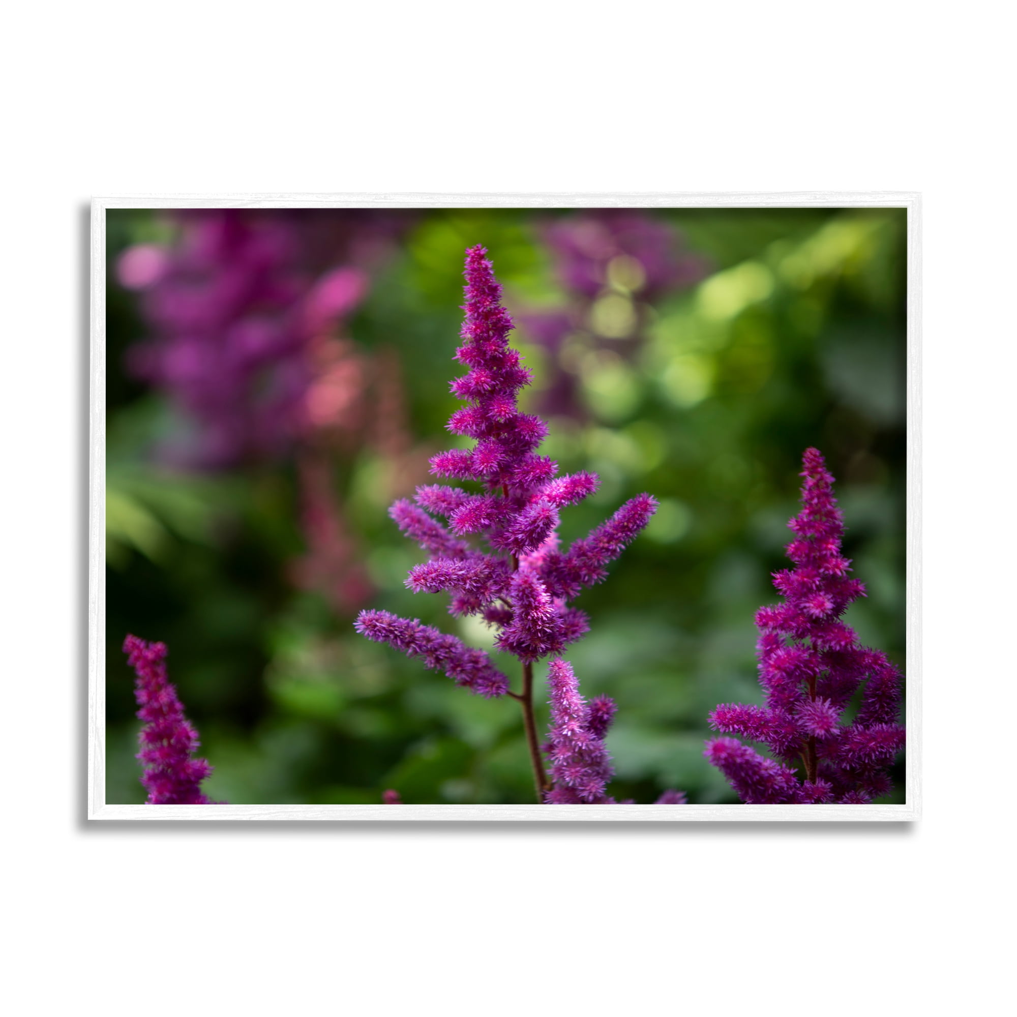Stupell Industries Purple Flower in Nature Botanical & Floral Photography White Framed Art Print Wall Art, 30 x 24