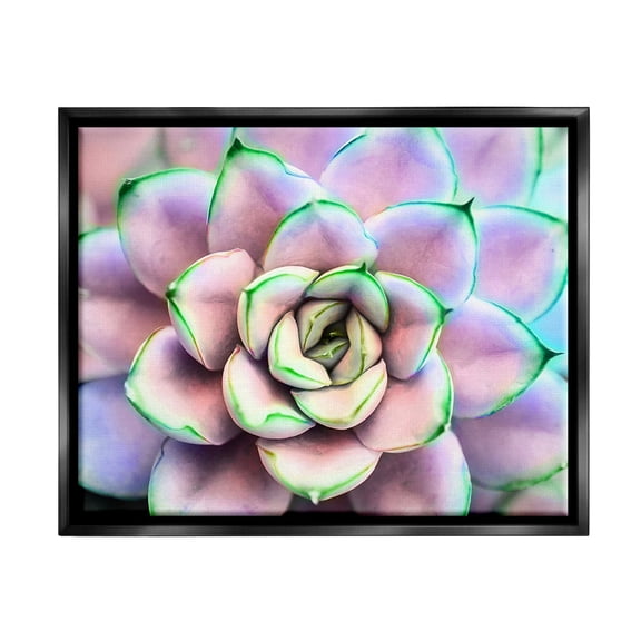 Stupell Industries Purple & Green Succulent Petals Botanical & Floral Photography Black Floater Framed Art Print Wall Art