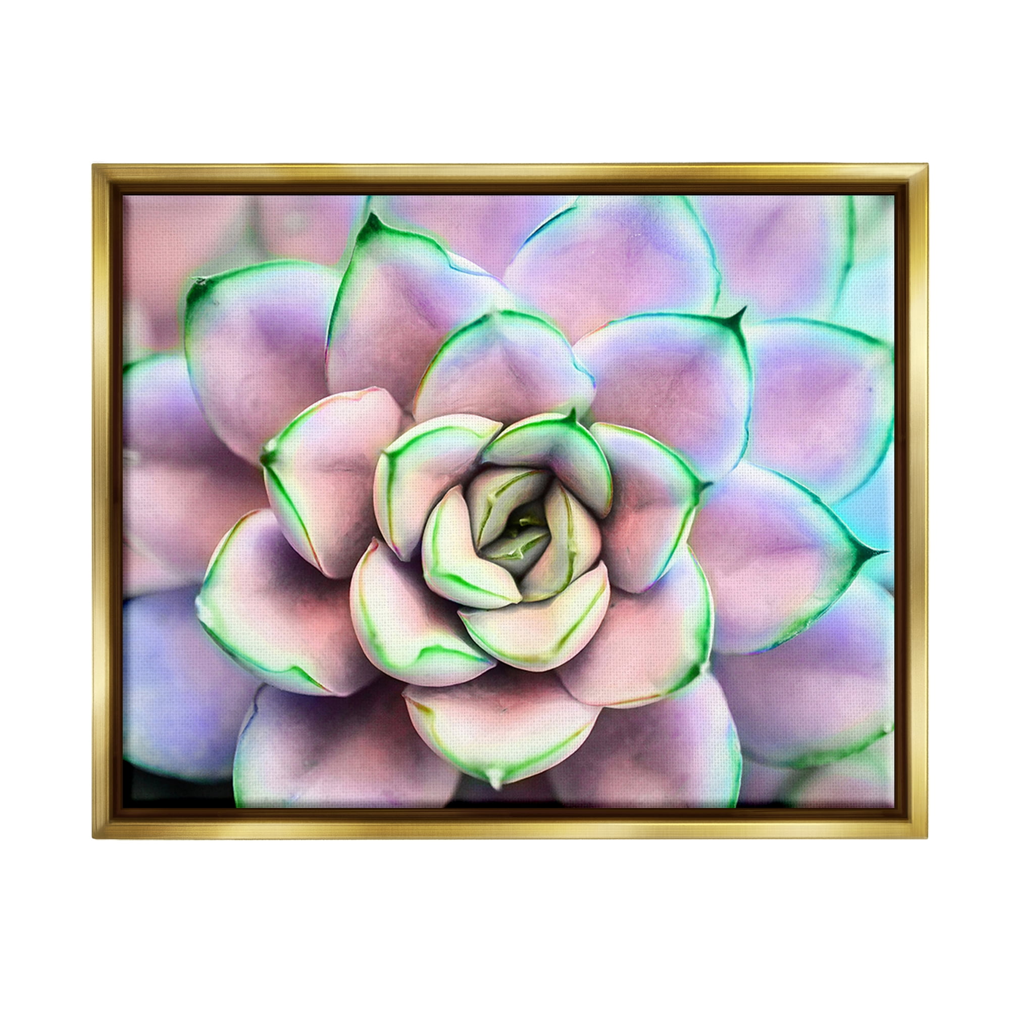 Stupell Industries Purple & Green Succulent Petals Botanical & Floral Photography Gold Floater Framed Art Print Wall Art