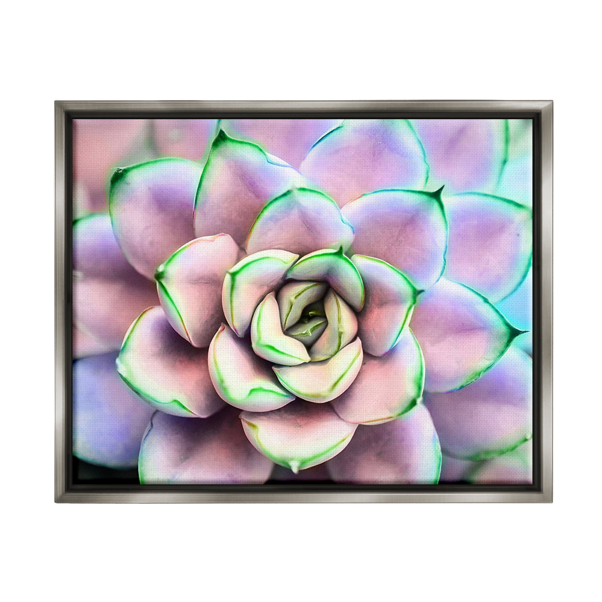 Stupell Industries Purple & Green Succulent Petals Botanical & Floral Photography Gray Floater Framed Art Print Wall Art