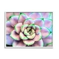 thumbnail image 1 of Stupell Industries Purple & Green Succulent Petals Botanical & Floral Photography White Framed Art Print Wall Art, 1 of 5