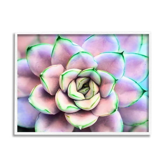 Stupell Industries Purple & Green Succulent Petals Botanical & Floral Photography White Framed Art Print Wall Art