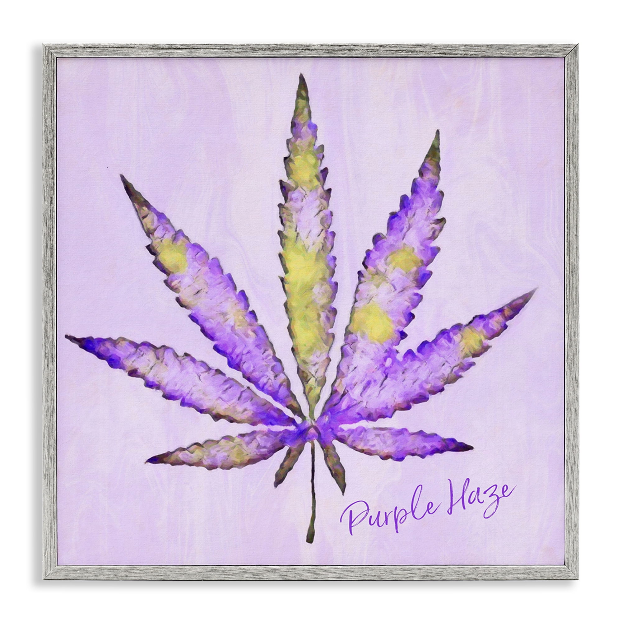 Stupell Industries Purple Haze Plant Leaf Plants & Flowers Painting Gray Framed Art Print Wall Art, 12 x 12
