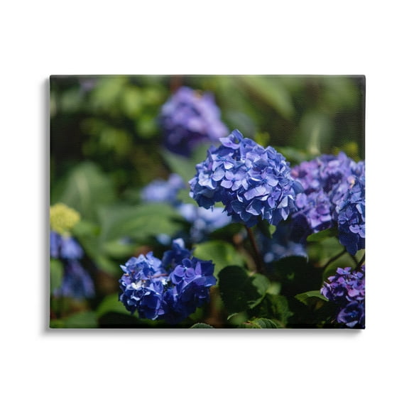 Stupell Industries Purple Hydrangea Photography Botanical & Floral Photography Gallery Wrapped Canvas Print Wall Art, 20 x 16