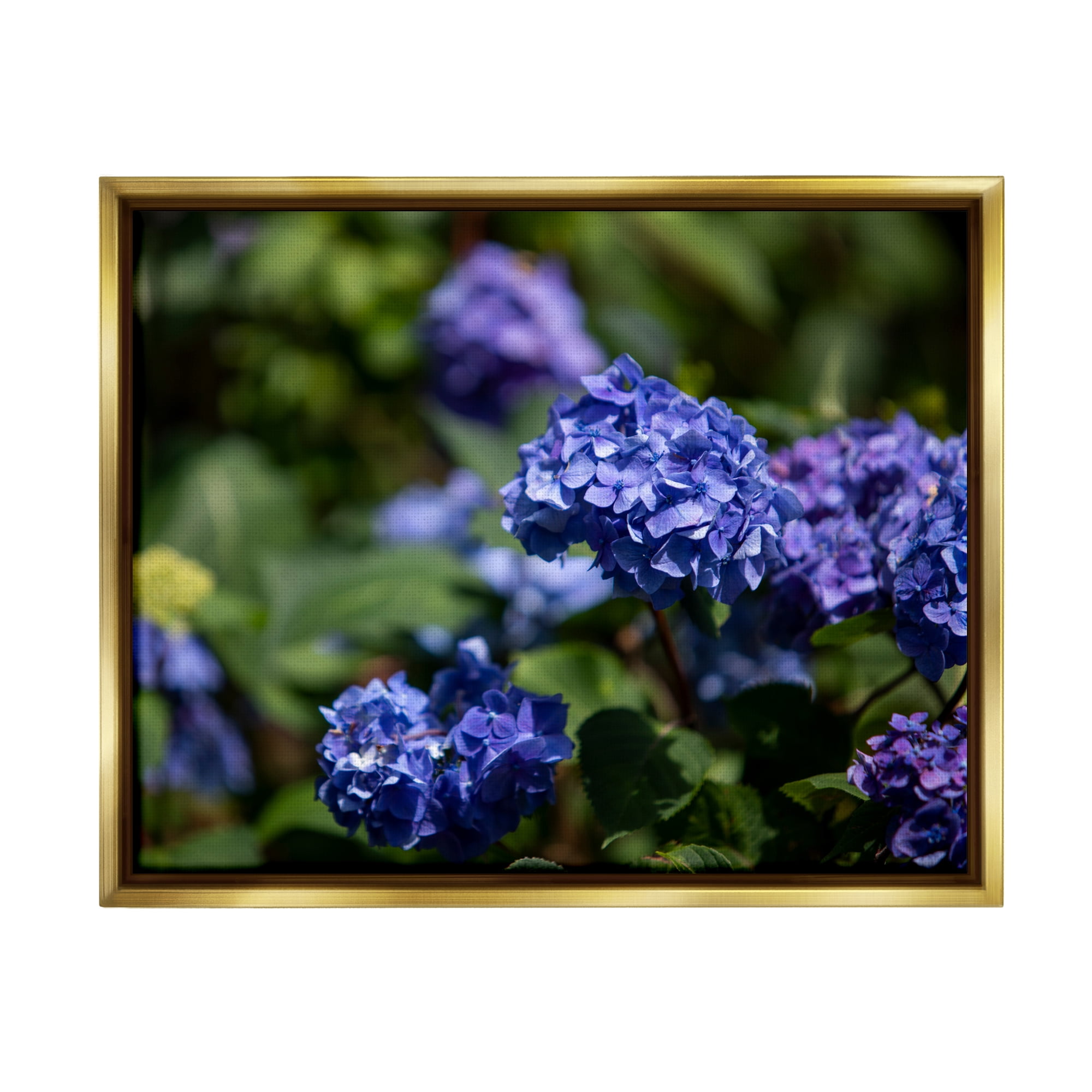 Stupell Industries Purple Hydrangea Photography Botanical & Floral Photography Gold Floater Framed Art Print Wall Art, 21 x 17