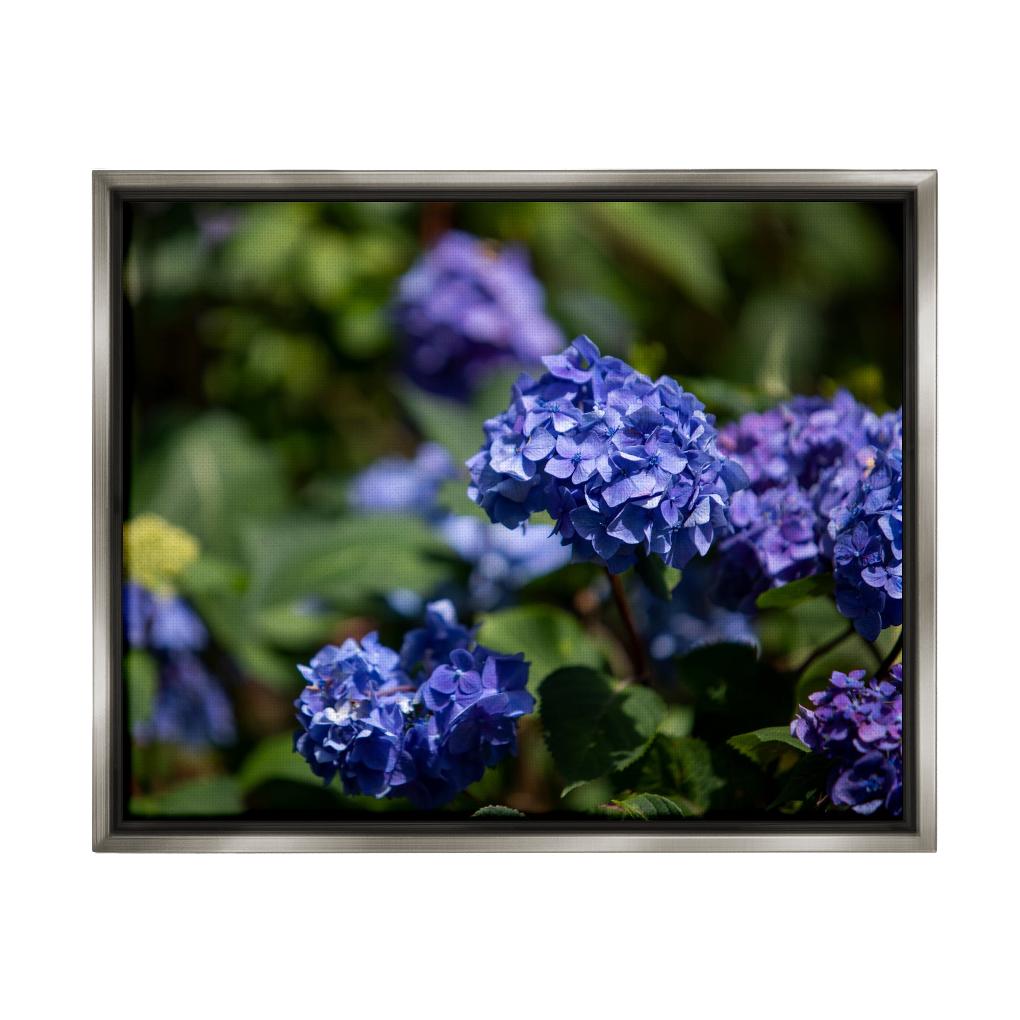 Stupell Industries Purple Hydrangea Photography Botanical & Floral Photography Gray Floater Framed Art Print Wall Art, 21 x 17