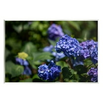 Stupell Industries Purple Hydrangea Photography Botanical & Floral Photography Unframed Art Print Wall Art, 15 x 10