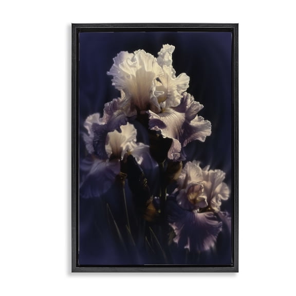Stupell Industries Purple Iris Close Up Black Framed Floater Canvas Wall Art design by Collin Bogle, 25 x 17