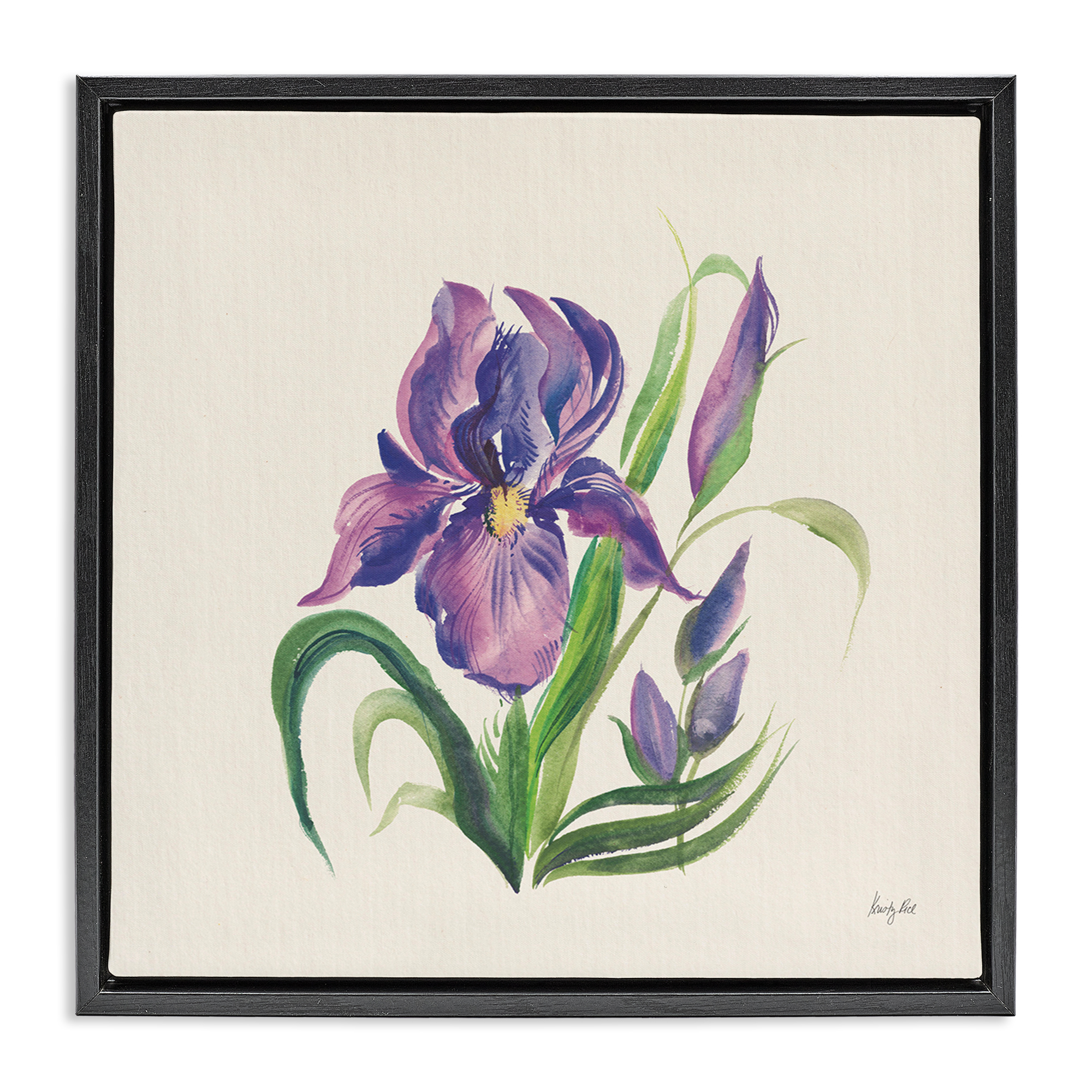 Stupell Industries Purple Iris Flower Botanical & Floral Painting Black Floater Framed Art Print Wall Art, 18 x 18