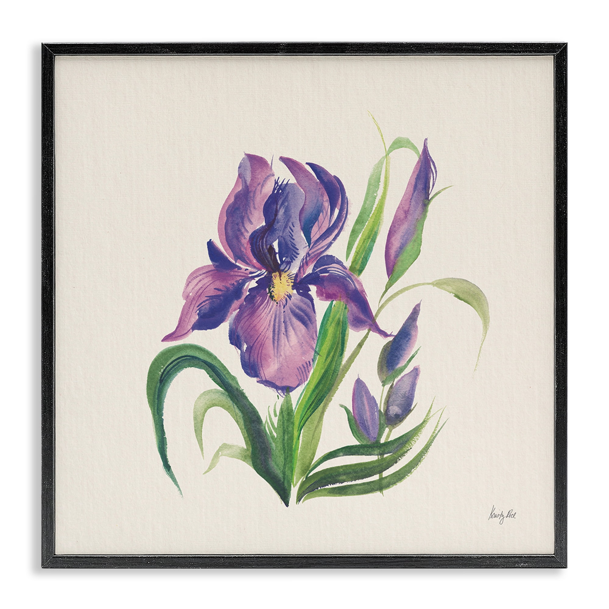 Stupell Industries Purple Iris Flower Botanical & Floral Painting Black Framed Art Print Wall Art, 12 x 12