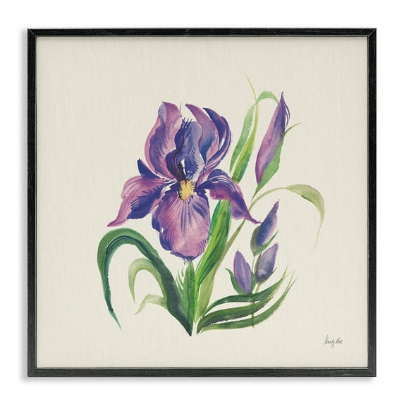 Stupell Industries Purple Iris Flower Botanical & Floral Painting Black Framed Art Print Wall Art, 12 x 12