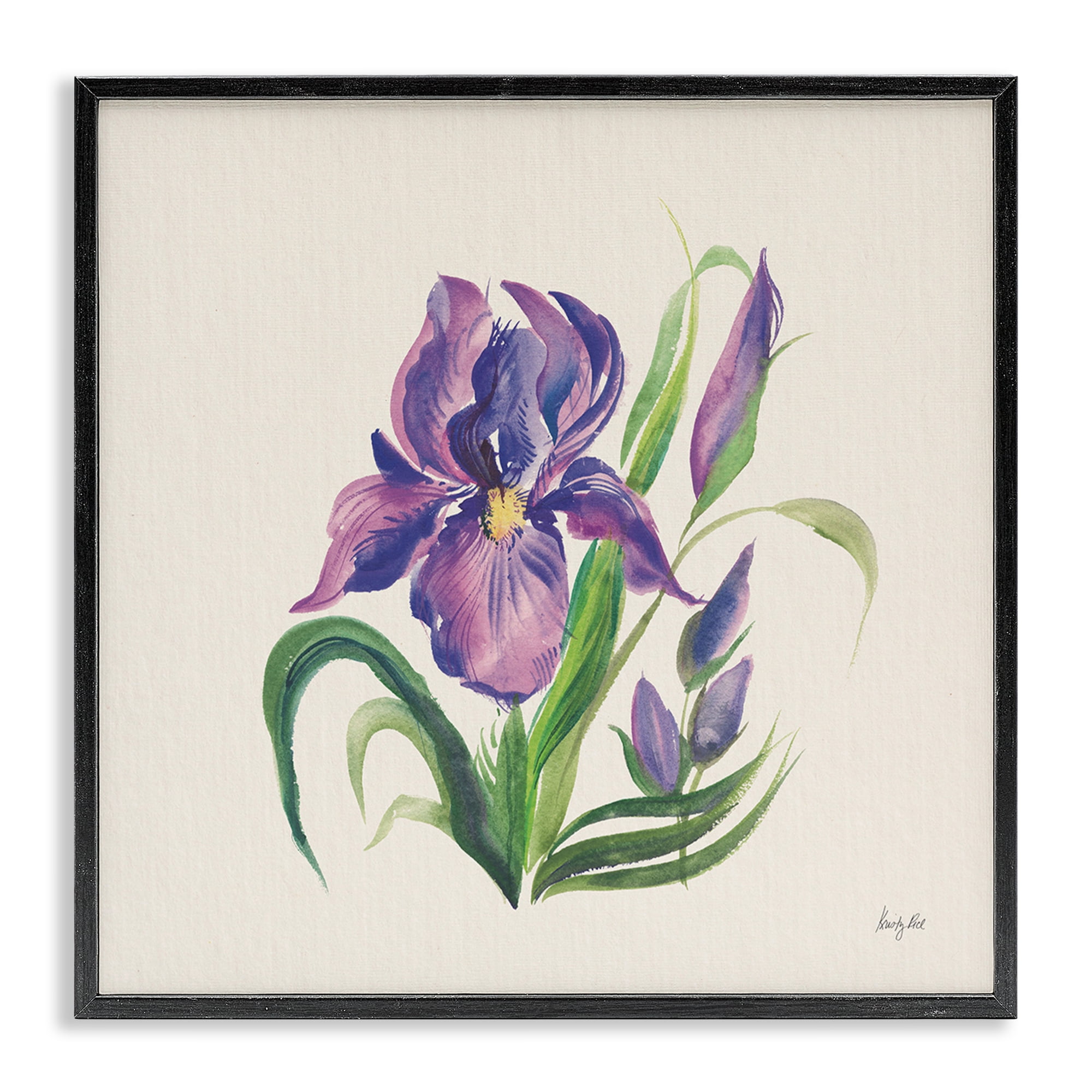 Stupell Industries Purple Iris Flower Botanical & Floral Painting Black Framed Art Print Wall Art, 17 x 17