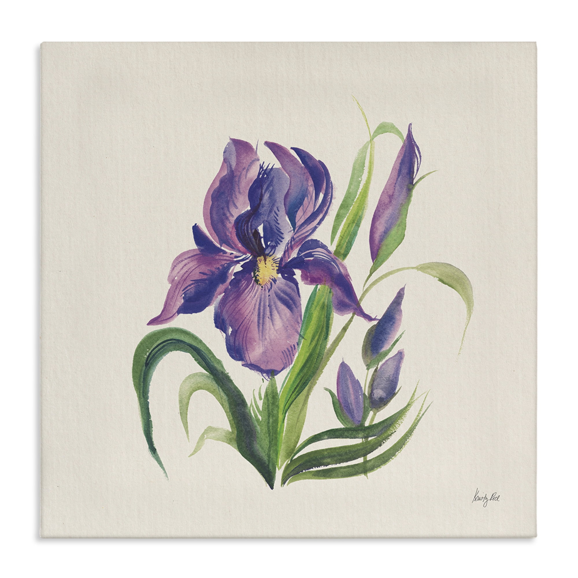 Stupell Industries Purple Iris Flower Botanical & Floral Painting Gallery Wrapped Canvas Art Print Wall Art, 36 x 36