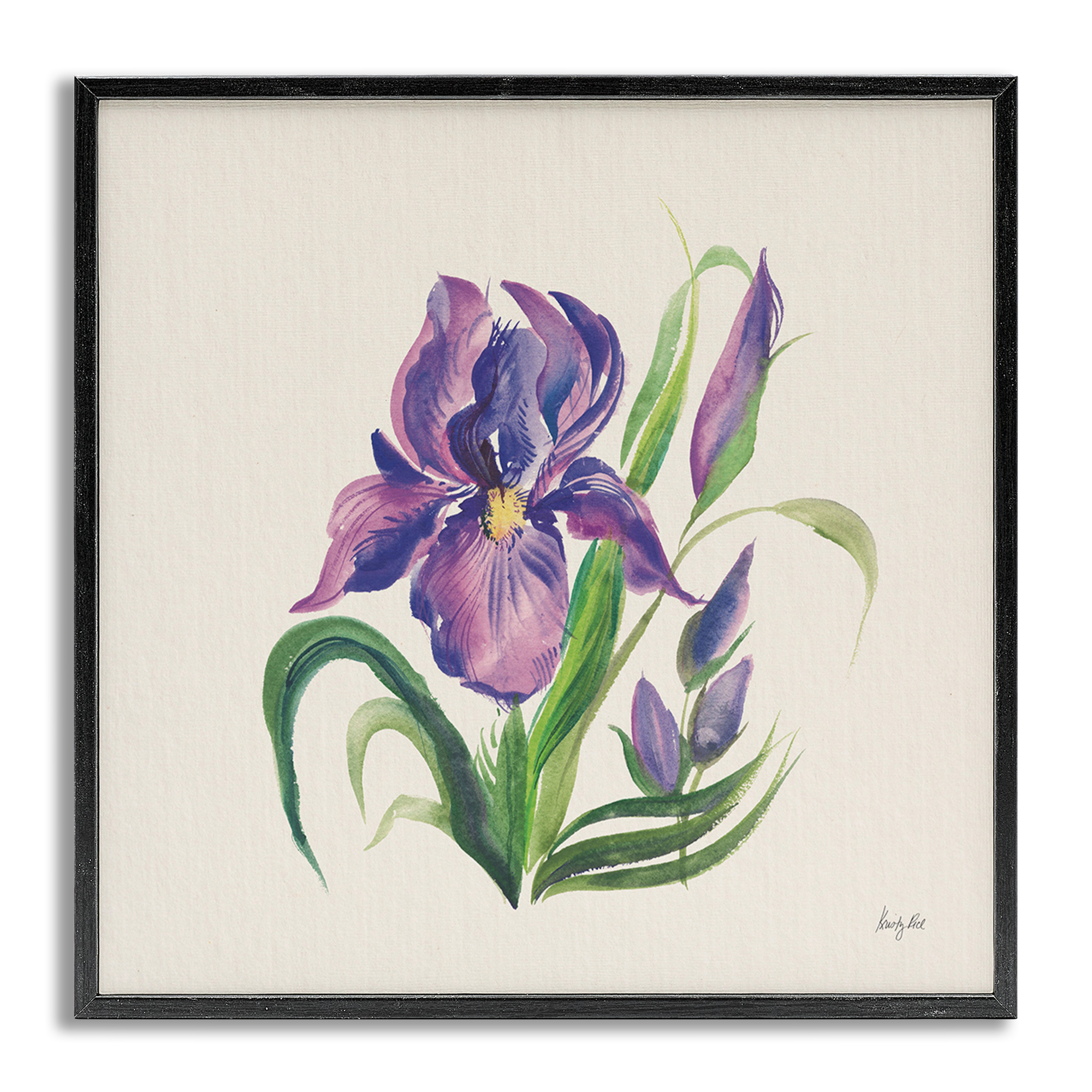 Stupell Industries Purple Iris Flower Botanical & Floral Painting Gray Framed Art Print Wall Art, 17 x 17