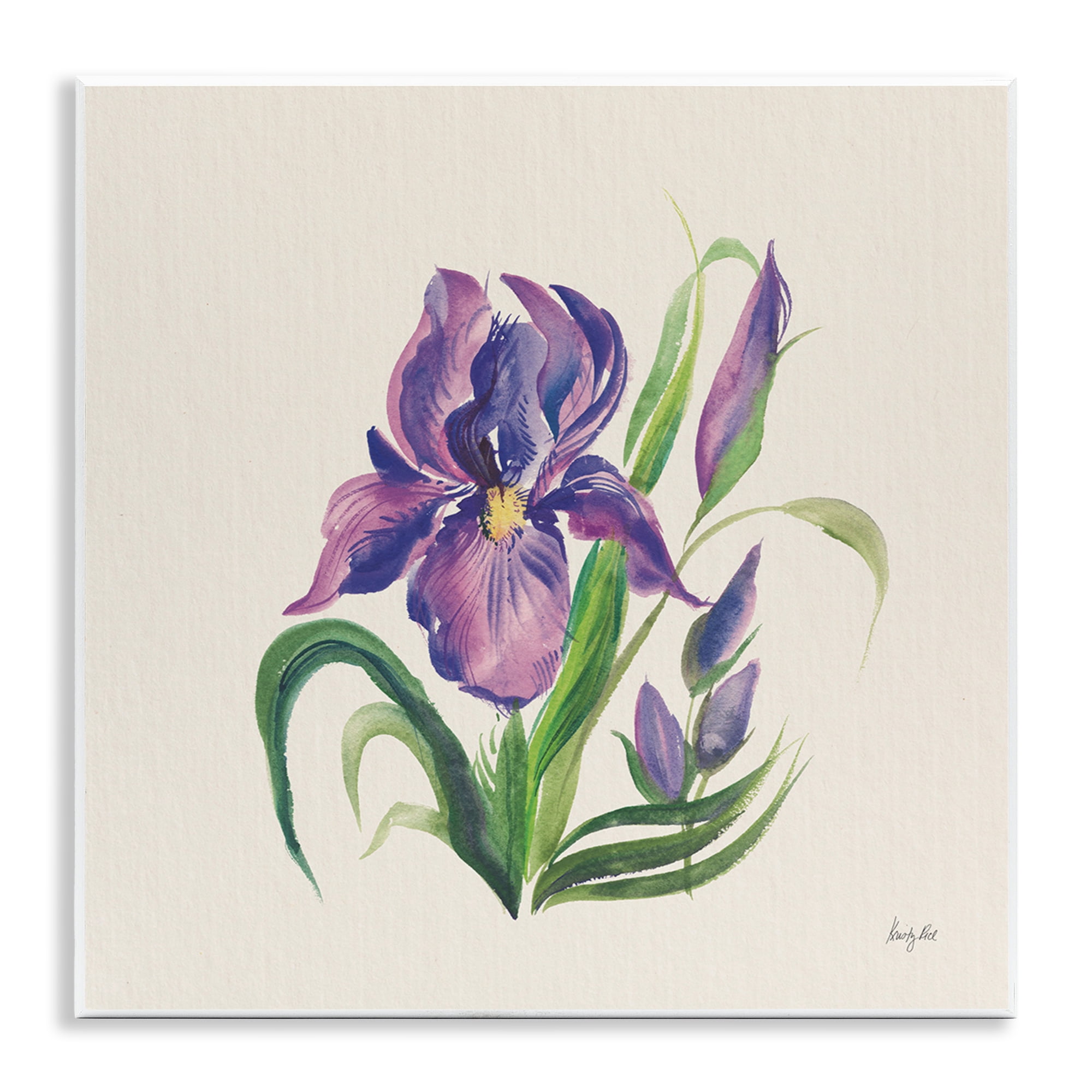 Stupell Industries Purple Iris Flower Botanical & Floral Painting Unframed Art Print Wall Art, 12 x 12