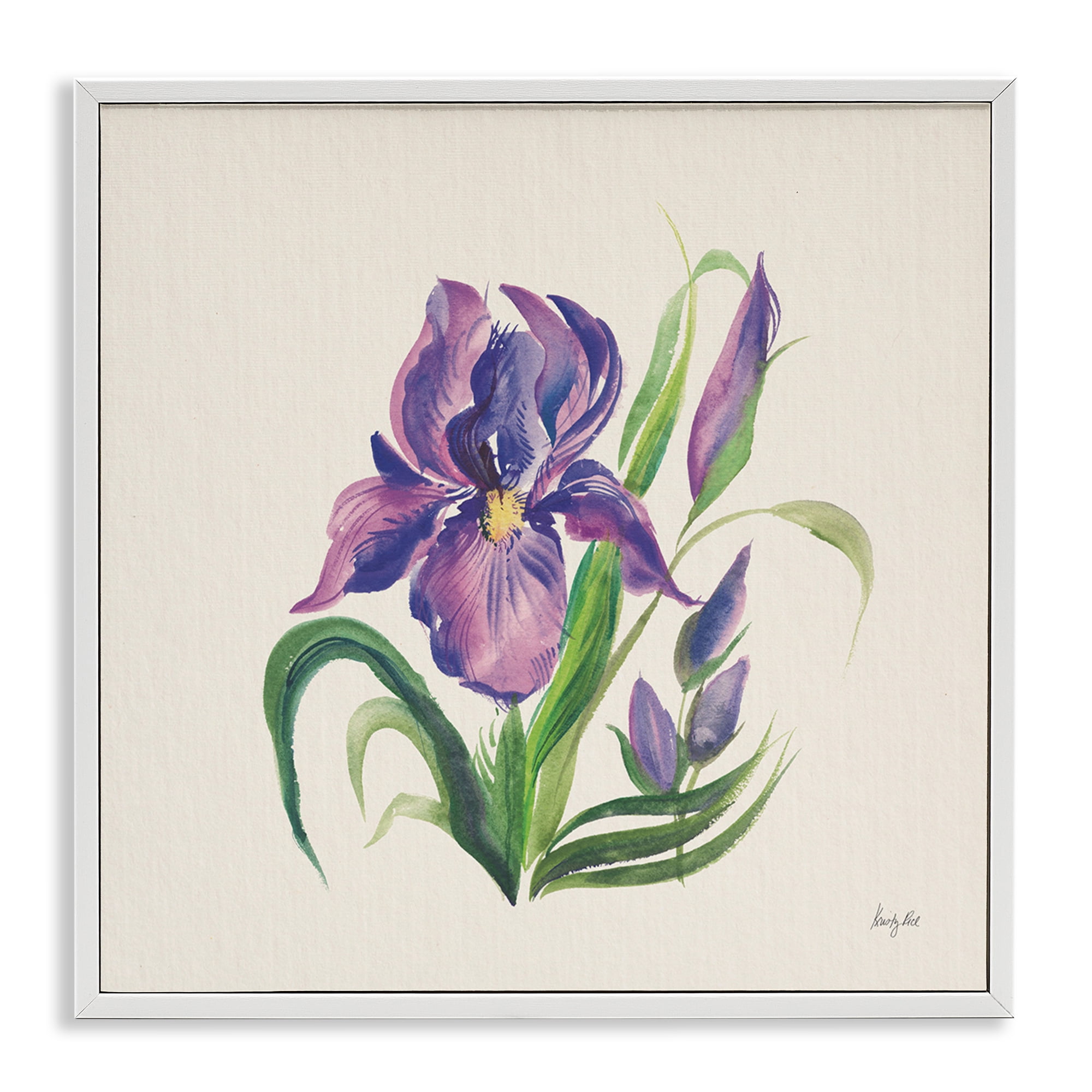 Stupell Industries Purple Iris Flower Botanical & Floral Painting White Framed Art Print Wall Art, 12 x 12