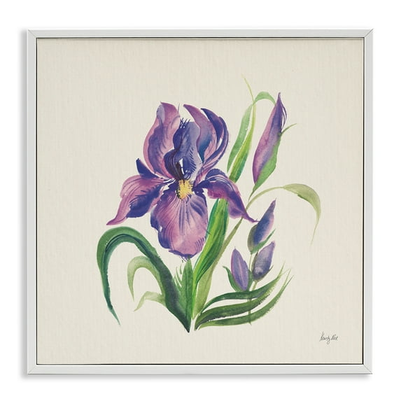Stupell Industries Purple Iris Flower Botanical & Floral Painting White Framed Art Print Wall Art, 24 x 24