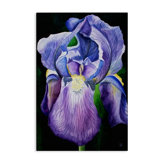 Stupell Industries Purple Iris Petals Floral Painting Wrapped Canvas Canvas Art Print Wall Art, 24 x 36