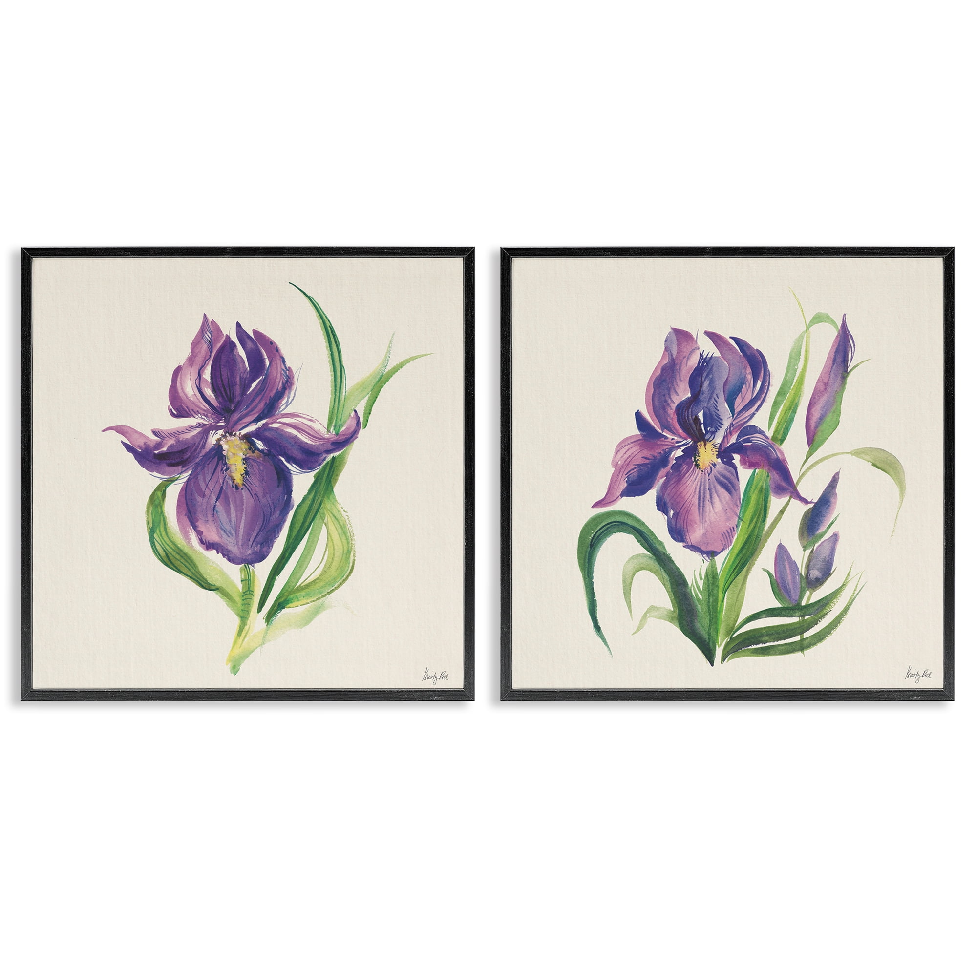 Stupell Industries Purple Iris in Bloom Plants & Flowers Painting Black Framed Art Print Wall Art, 24 x 24, Set of 2