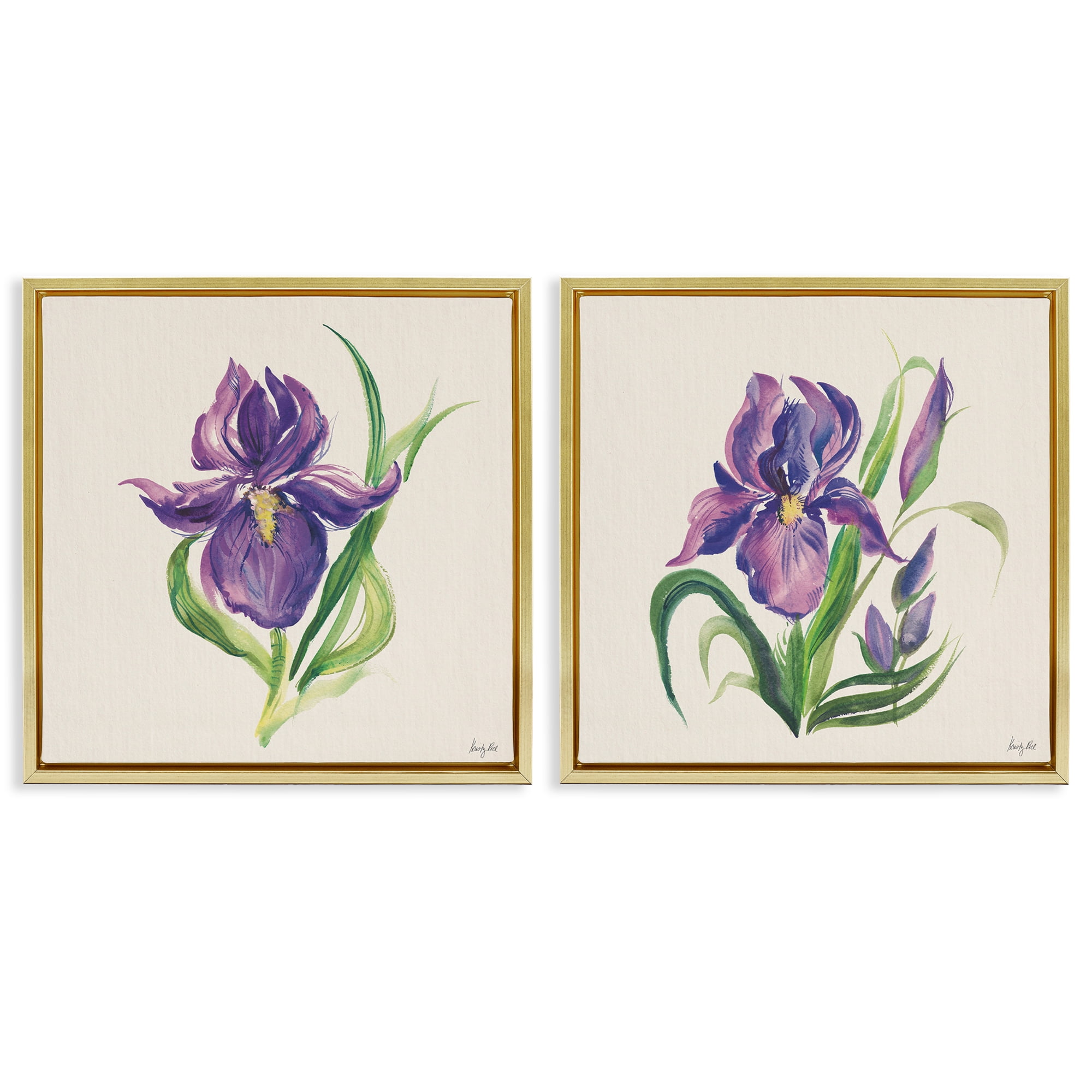 Stupell Industries Purple Iris in Bloom Plants & Flowers Painting Gold Floater Framed Canvas Art Print Wall Art, 25 x 25, Set of 2