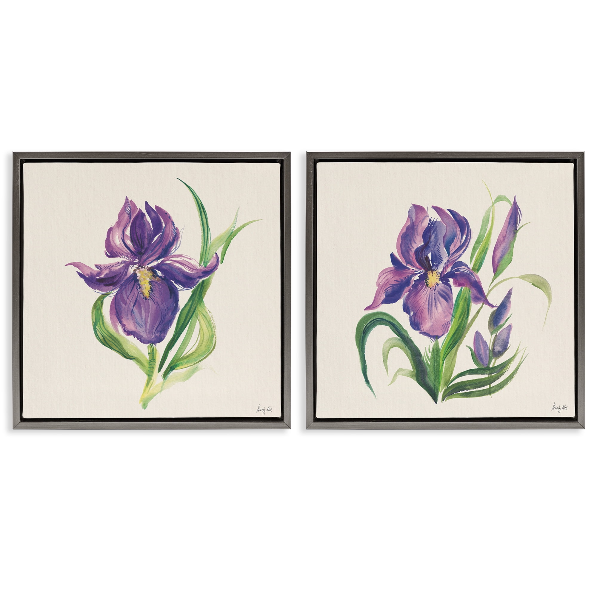 Stupell Industries Purple Iris in Bloom Plants & Flowers Painting Gray Floater Framed Canvas Art Print Wall Art, 18 x 18, Set of 2