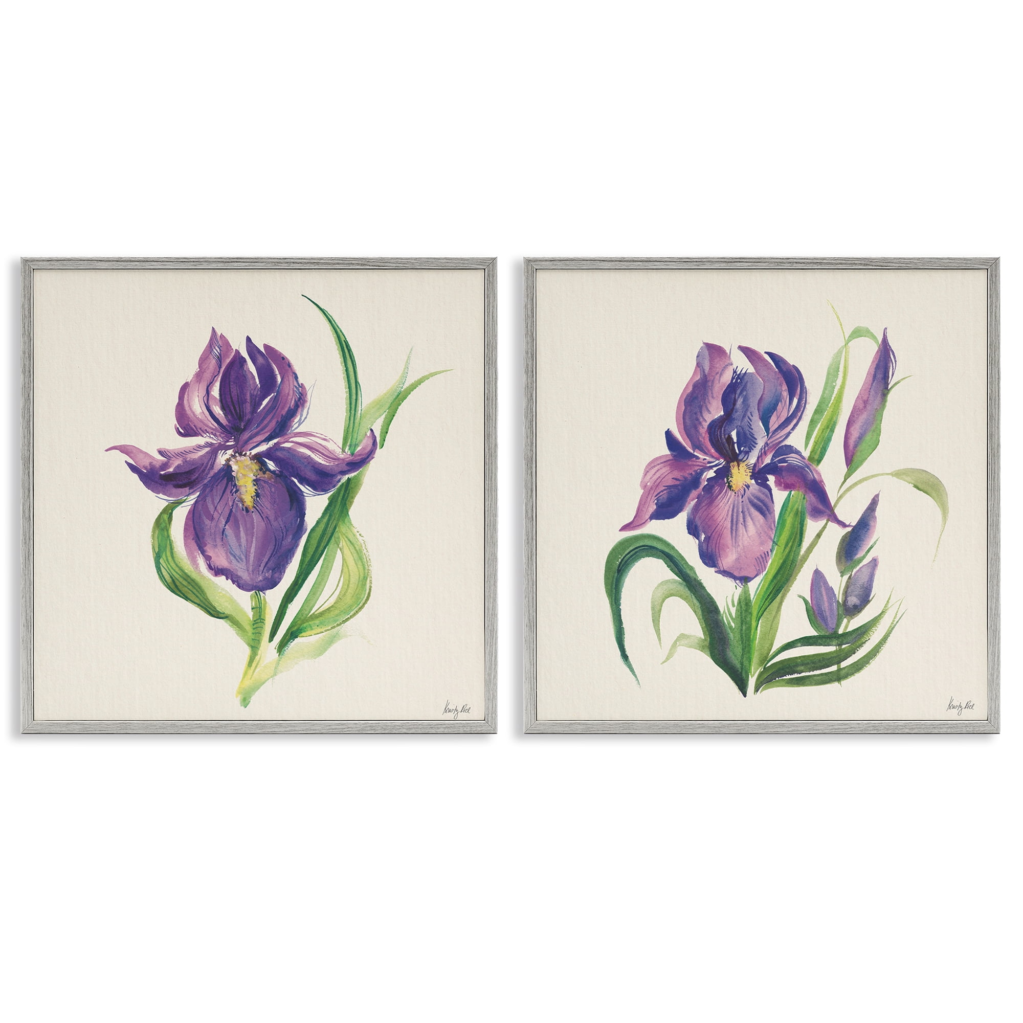 Stupell Industries Purple Iris in Bloom Plants & Flowers Painting Gray Framed Art Print Wall Art, 17 x 17, Set of 2