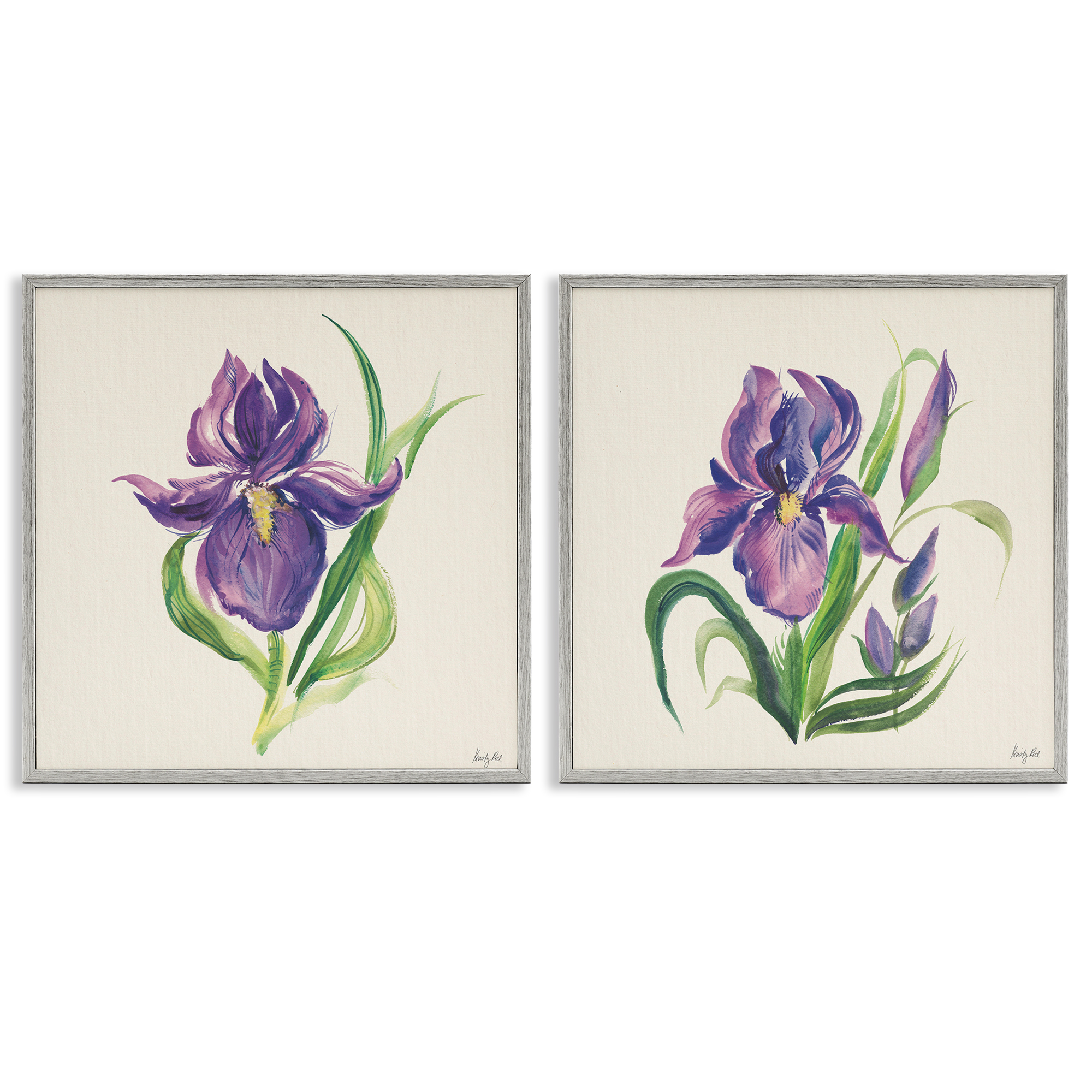 Stupell Industries Purple Iris in Bloom Plants & Flowers Painting Gray Framed Art Print Wall Art, 24 x 24, Set of 2